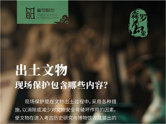《森羅萬象》，萬象包羅第82問 